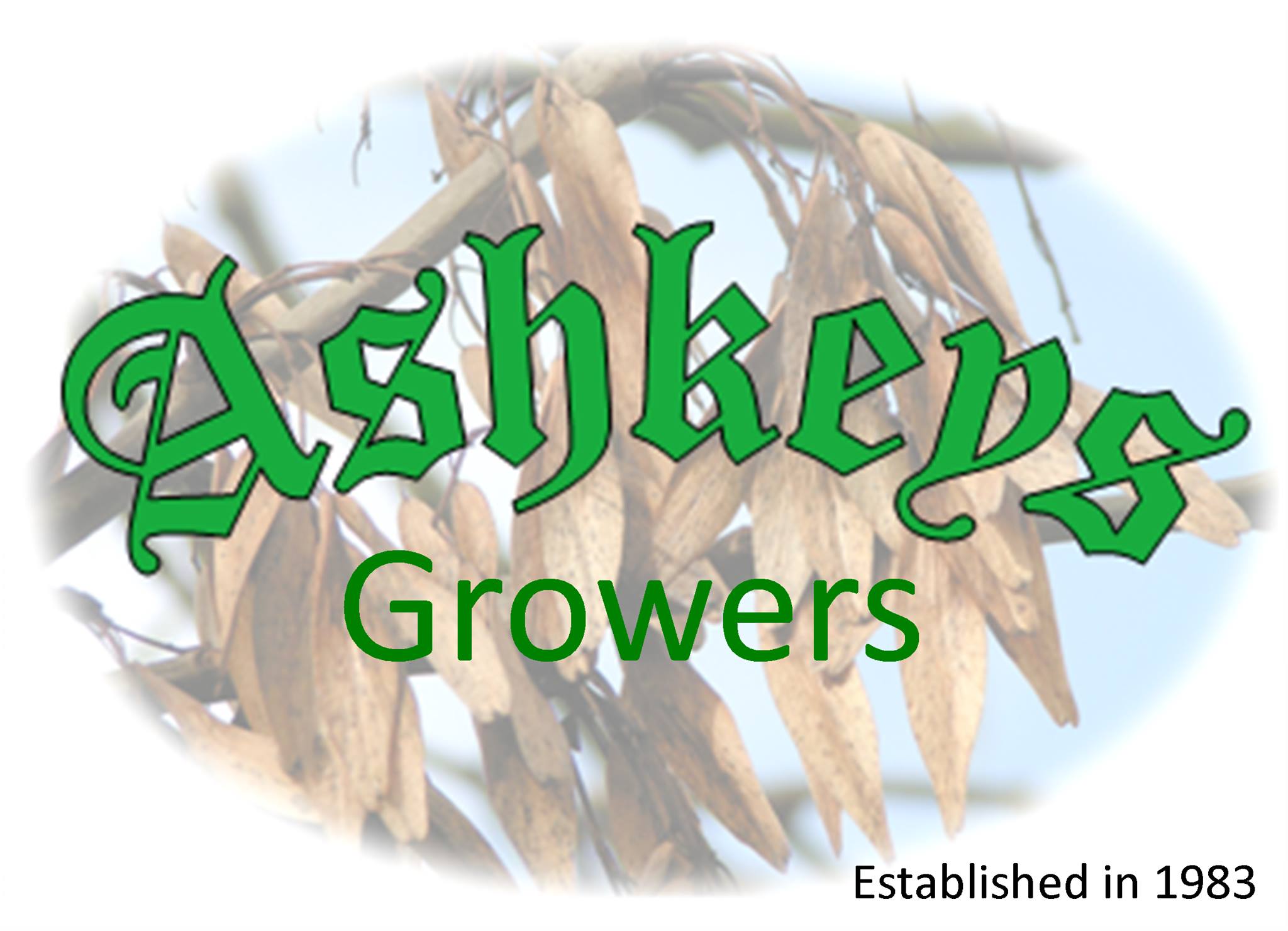 Ashkeys Growers